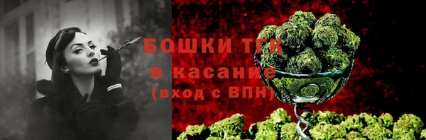 шишки Нея