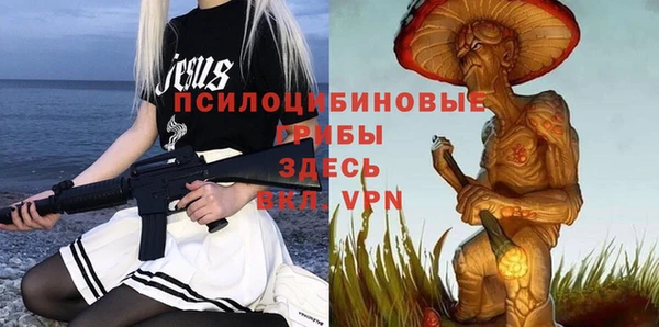 прущие крисы Нефтекумск