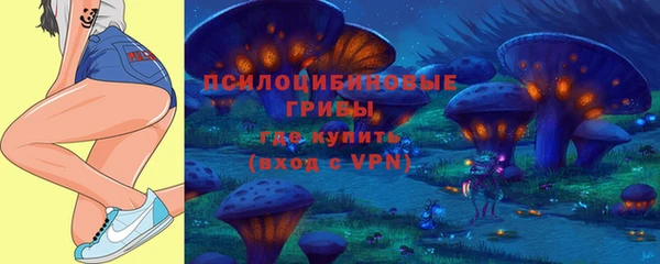 стаф Нефтегорск