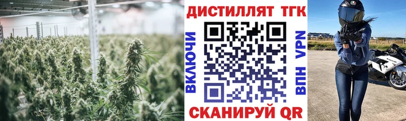 Купить где  Стародуб  Дистиллят ТГК концентрат 