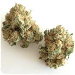 Шишки "White Widow"  (Белая вдова)  Гидропоника -  Бошка VHQ в Стародубе