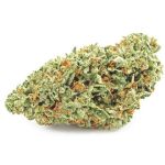 Шишки OG Kush  (Гидропоника, бошки) VHQ в Стародубе
